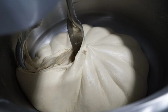 110 Pound Spiral Dough Mixer Stainless Steel Dual Speed Spiral Dough Machine